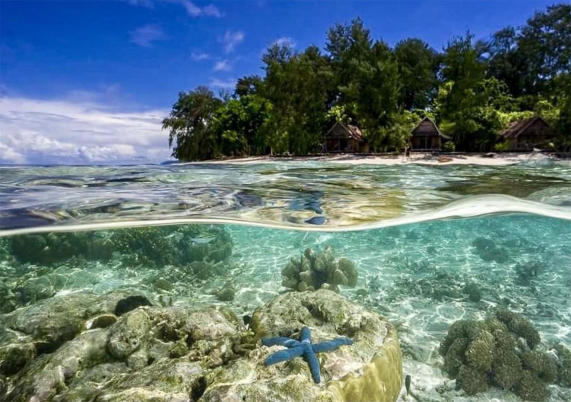 Wai Resort - Raja Ampat Pulau Birie Екстериор снимка