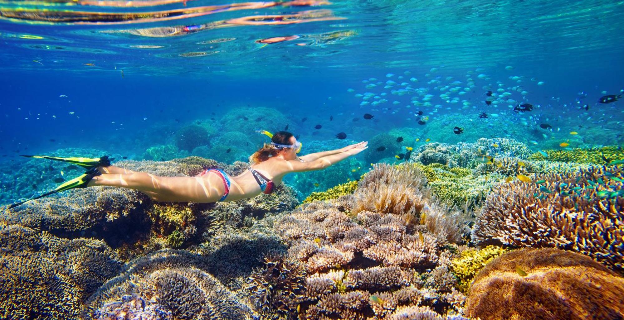 Wai Resort - Raja Ampat Pulau Birie Екстериор снимка